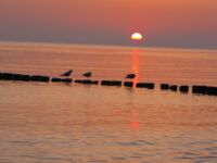 Ostseestrand für Fasten, Fastenkur an der Ostsee, Heilfasten nach Buchinger